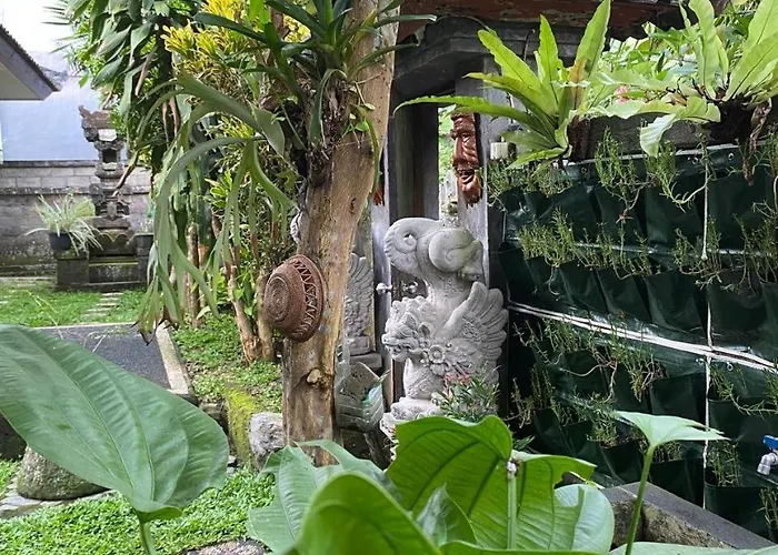 Kubu Baliku